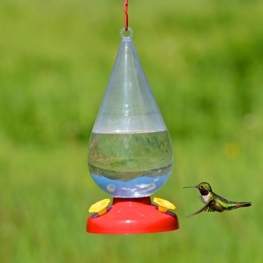 Perky Pet Dew Drop Plastic Hummingbird Feeder 32 Oz Capacity