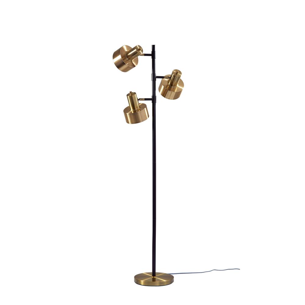 https://images.homedepot-static.com/productImages/4a64ece0-71dd-41e9-b9ae-0f99e3ef7664/svn/matte-black-antique-brass-adesso-floor-lamps-3588-01-64_1000.jpg