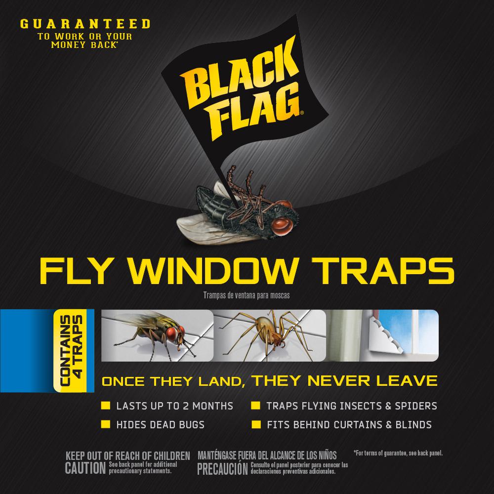 black flag fly trap