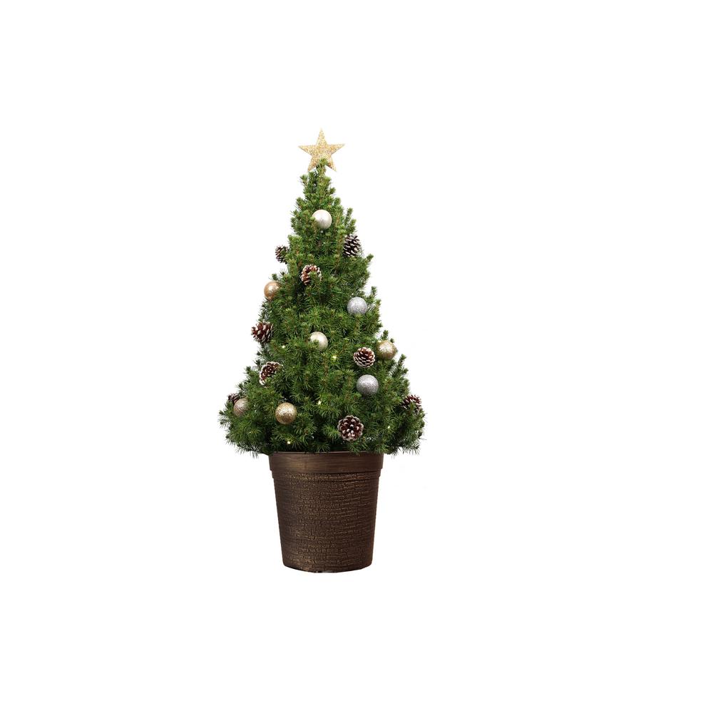 40 In Dwarf Alberta Spruce Potted Christmas Tree Mb40lt001 The