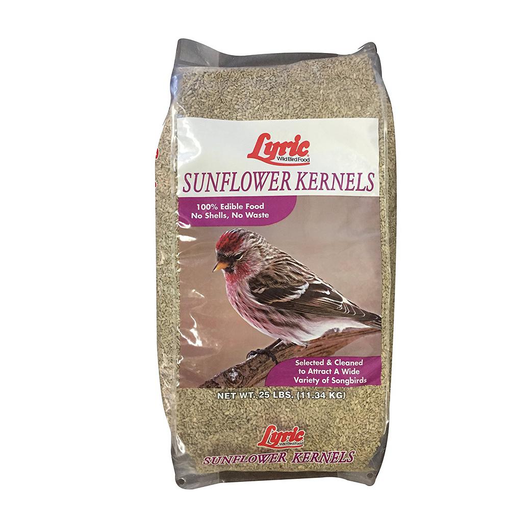Lyric 25 lb. Sunflower Kernels by Lyric