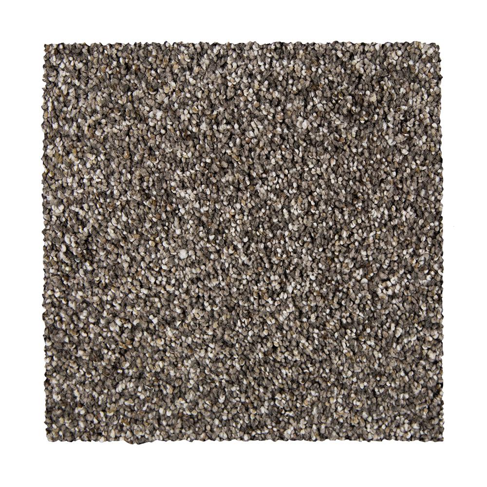 Petproof Maisie I Color Celtic Mist Texture 12 Ft Carpet 0642d Petproof Maisie I Color Celtic Mist