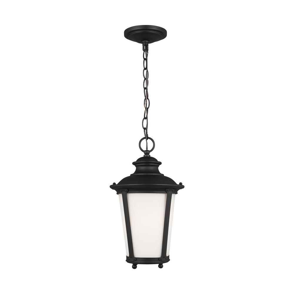 Metal Shade Solar Powered Pendant Light，Outdoor Hanging Shed Light Black Mini Pendant Lamp for Garden Patio Road Home Decorate