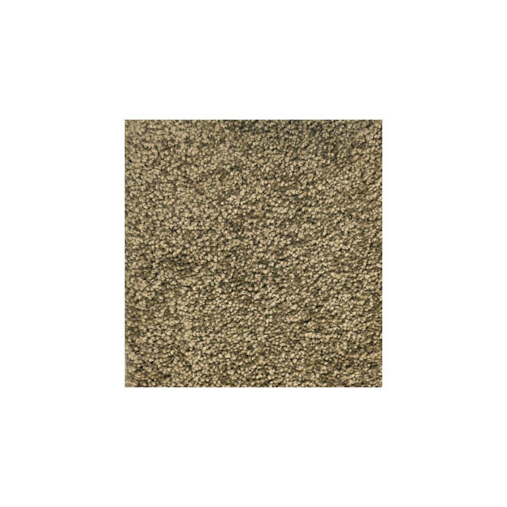 PetProof Carpet Sample - Maisie I - Color Prairie Dusk ...