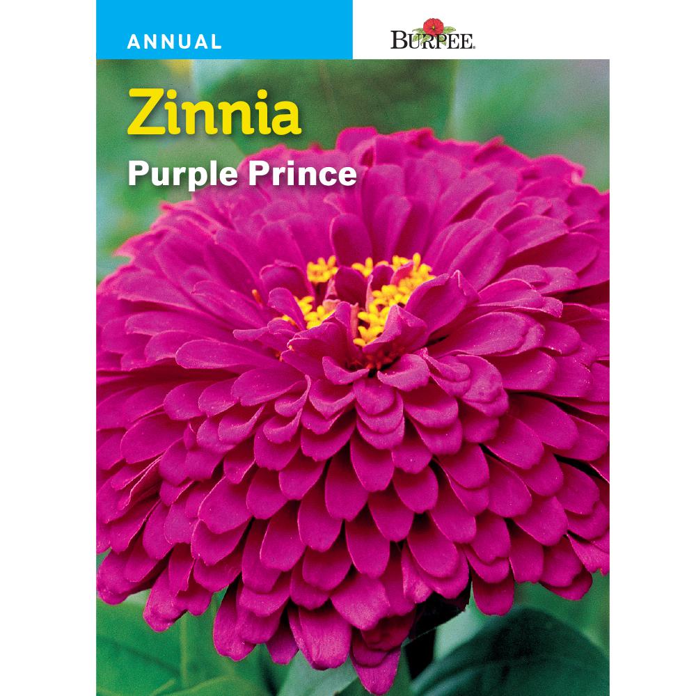 Flower Seeds Seeds & Accessories The Home Depot