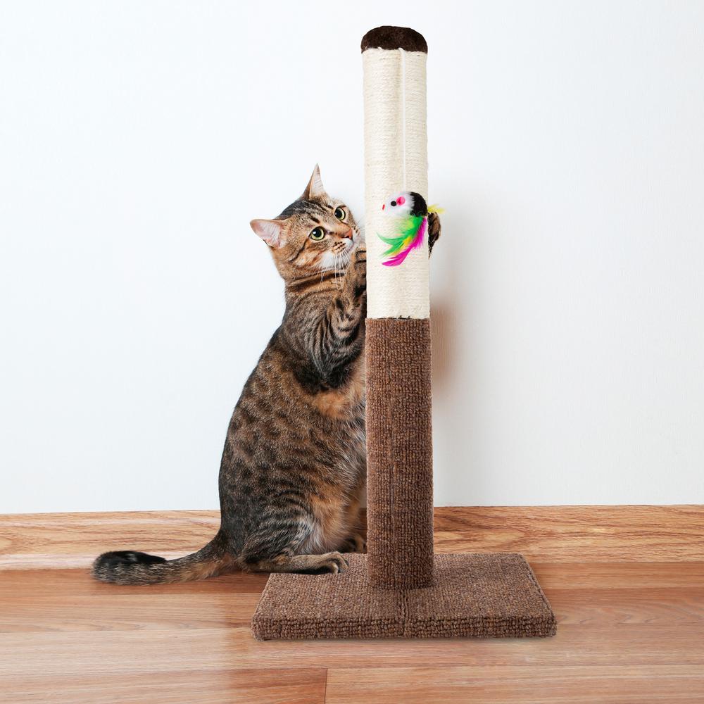 real wood scratching posts for cats