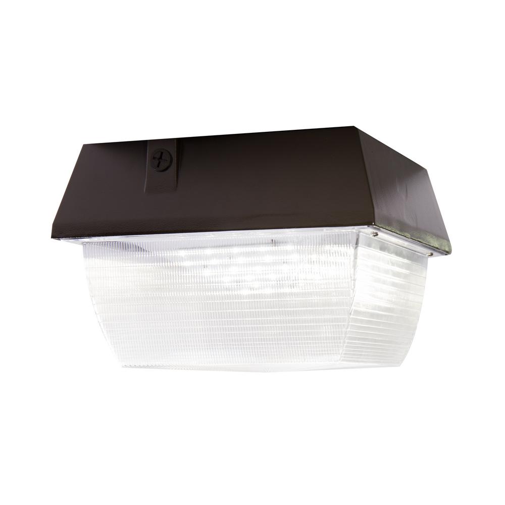 Canopy Area Light Lighting The Home Depot