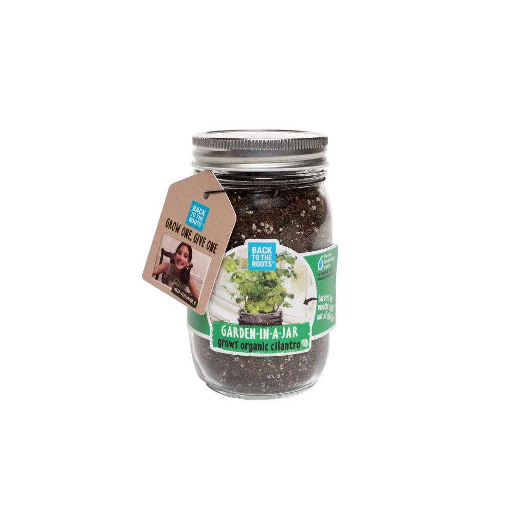 Back to the Roots Garden in a Jar Cilantro Seed Starting Kit23200 The Home Depot