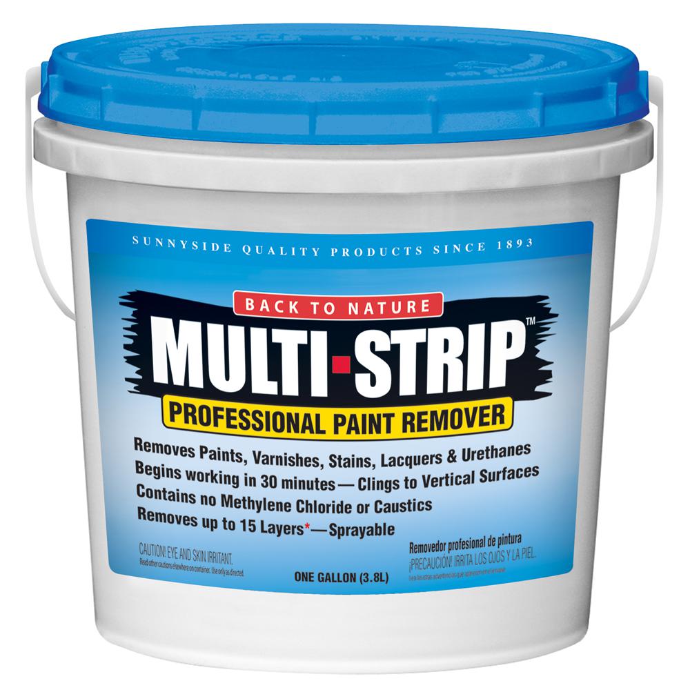 MULTISTRIP 1 gal. Multiple Layer Paint and Varnish RemoverMS01 The