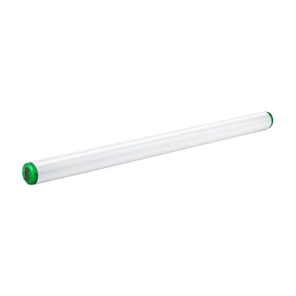 Philips 20-Watt 2 Ft. Linear T12 Fluorescent Light Bulb Daylight (6500K ...