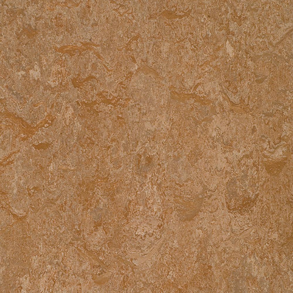 Medium Marmoleum The Home Depot Medium Marmoleum The Home Depot