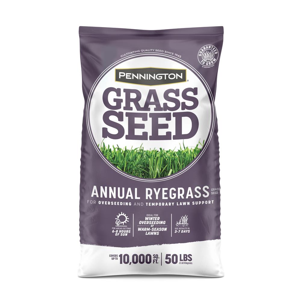 Pennington 50 lb. Annual Ryegrass Grass Seed100082644 The Home Depot