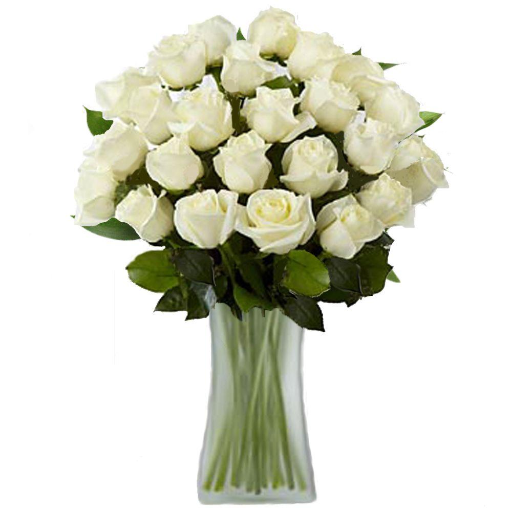 The Ultimate Bouquet White Rose Bouquet in a Clear Vase (24