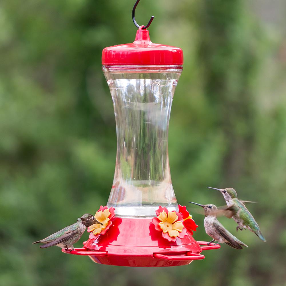 Perky Pet Adjustable Perch Glass Hummingbird Feeder 20 Oz Capacity 476 3 The Home Depot - Red Glass Hummingbird Feeder With Perch Perky Pet Adjustable Perch Glass Hummingbird Feeder 20 Oz Capacity 476 3 The Home Depot - Red Glass Hummingbird Feeder With Perch