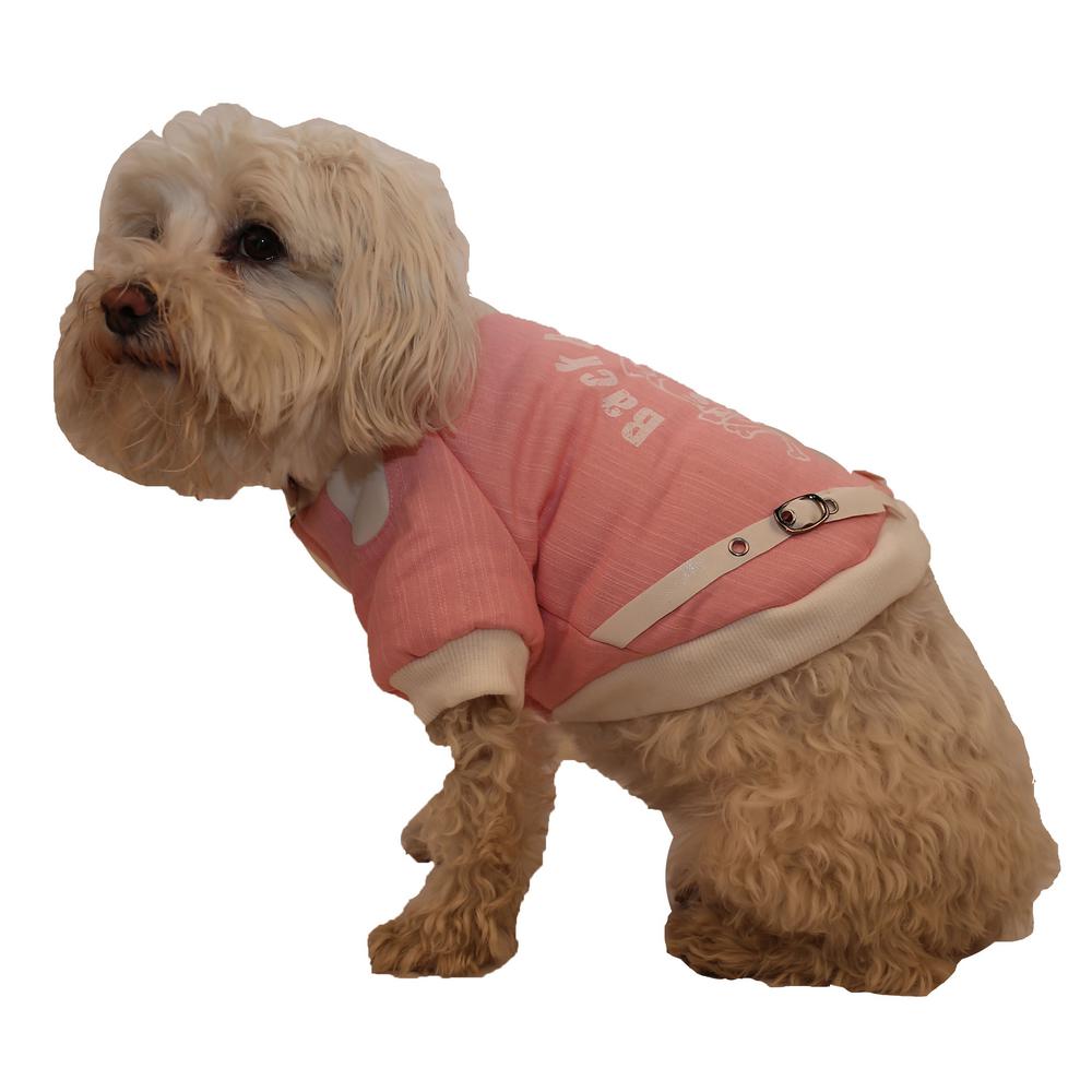 x small dog coat