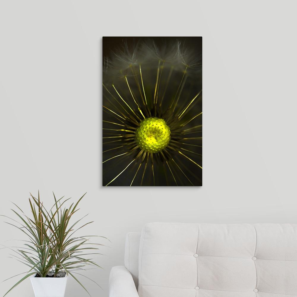 Greatbigcanvas Abstract Dandelion By Mike Moats Canvas Wall Art