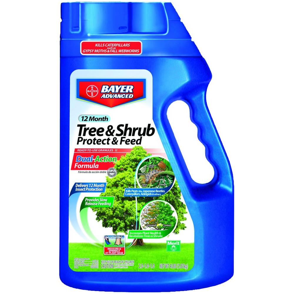 bayer tree and shrub care