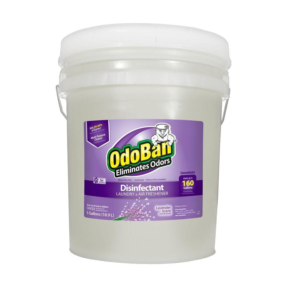 UPC 732109917797 product image for OdoBan 5 Gal. Lavender Disinfectant, Laundry and Air Freshener, Mold and Mildew  | upcitemdb.com