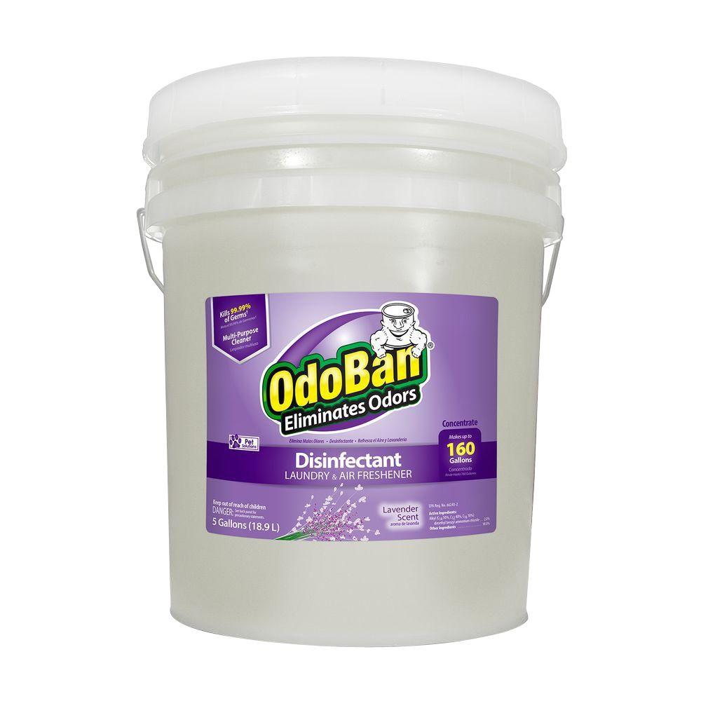 Reviews for OdoBan 5 Gal. Lavender Disinfectant, Laundry and Air Freshener, Mold and Mildew