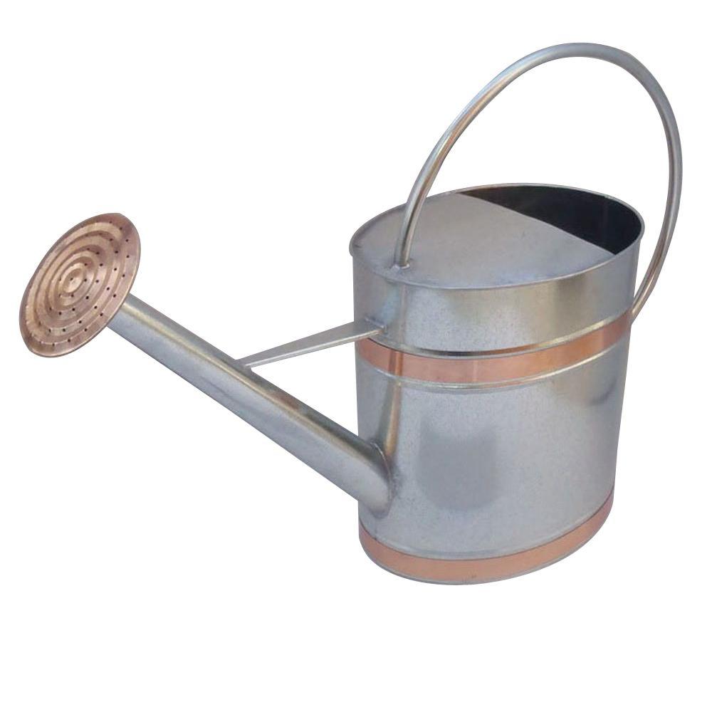 Vigoro 23.2 in. x 7.36 in. x 15.75 in. 2 gal. Silver Metal Watering Can