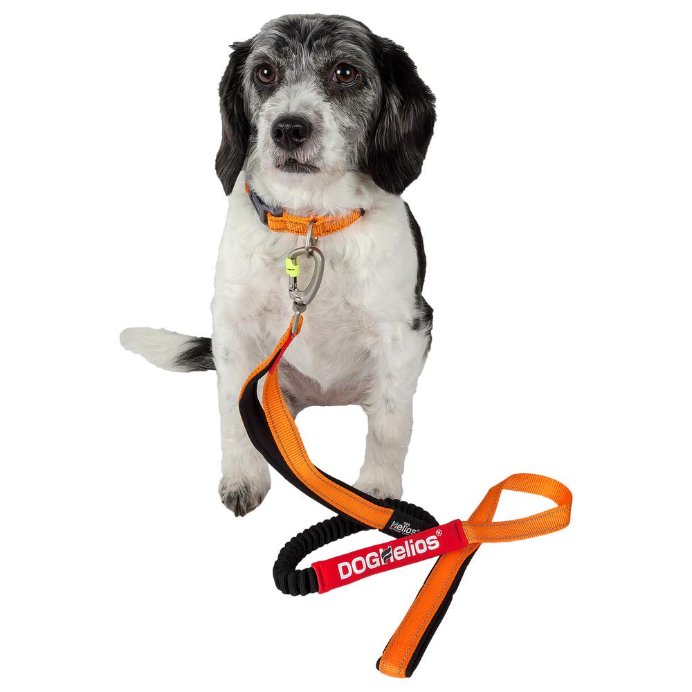 home depot dog leash