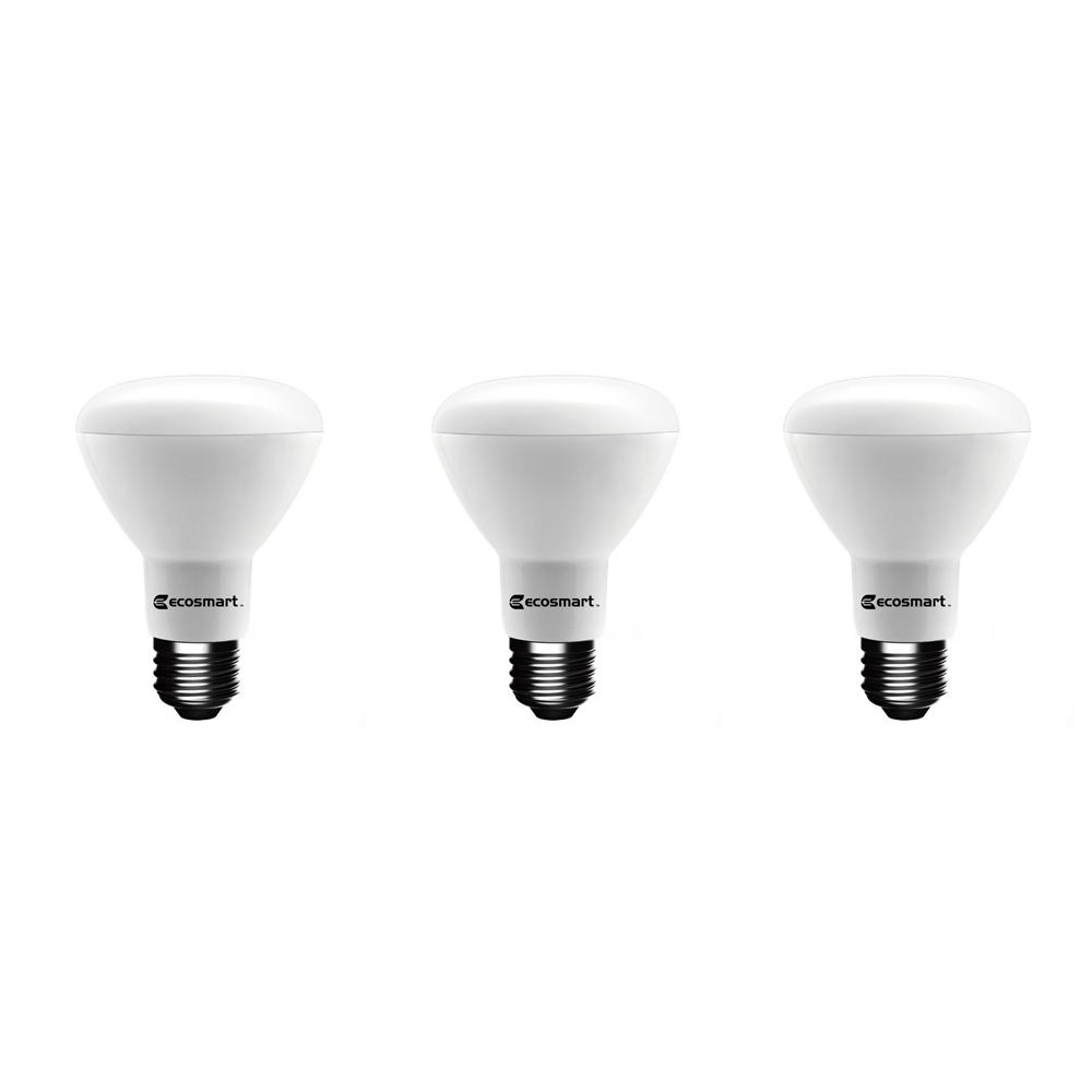 EcoSmart 15-Watt 65W R30 Dimmable Soft White CFL Light Bulb