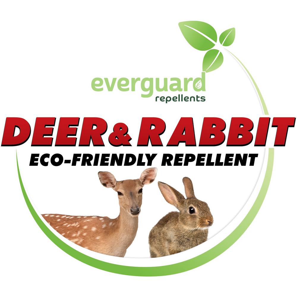 Amazon Com Liquid Fence Deer Rabbit Repellent Concentrate 40 Ounce 6 Pack Garden Outdoor