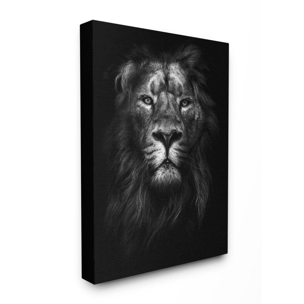 The Stupell Home Decor Collection 36 In X 48 In King Of The Jungle Lion In Shadows Black And White Photography By Design Fabrikken Canvas Wall Art Aap 294 Cn 36x48 The Home Depot