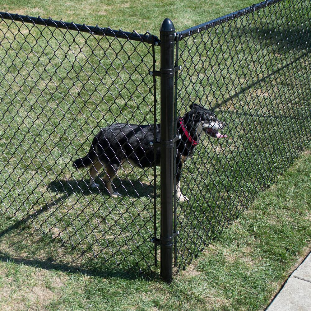 A Finished Chain Link Fence With Gate Chain Link Fence Gate Chain Link Fence Chain Link Fence Installation