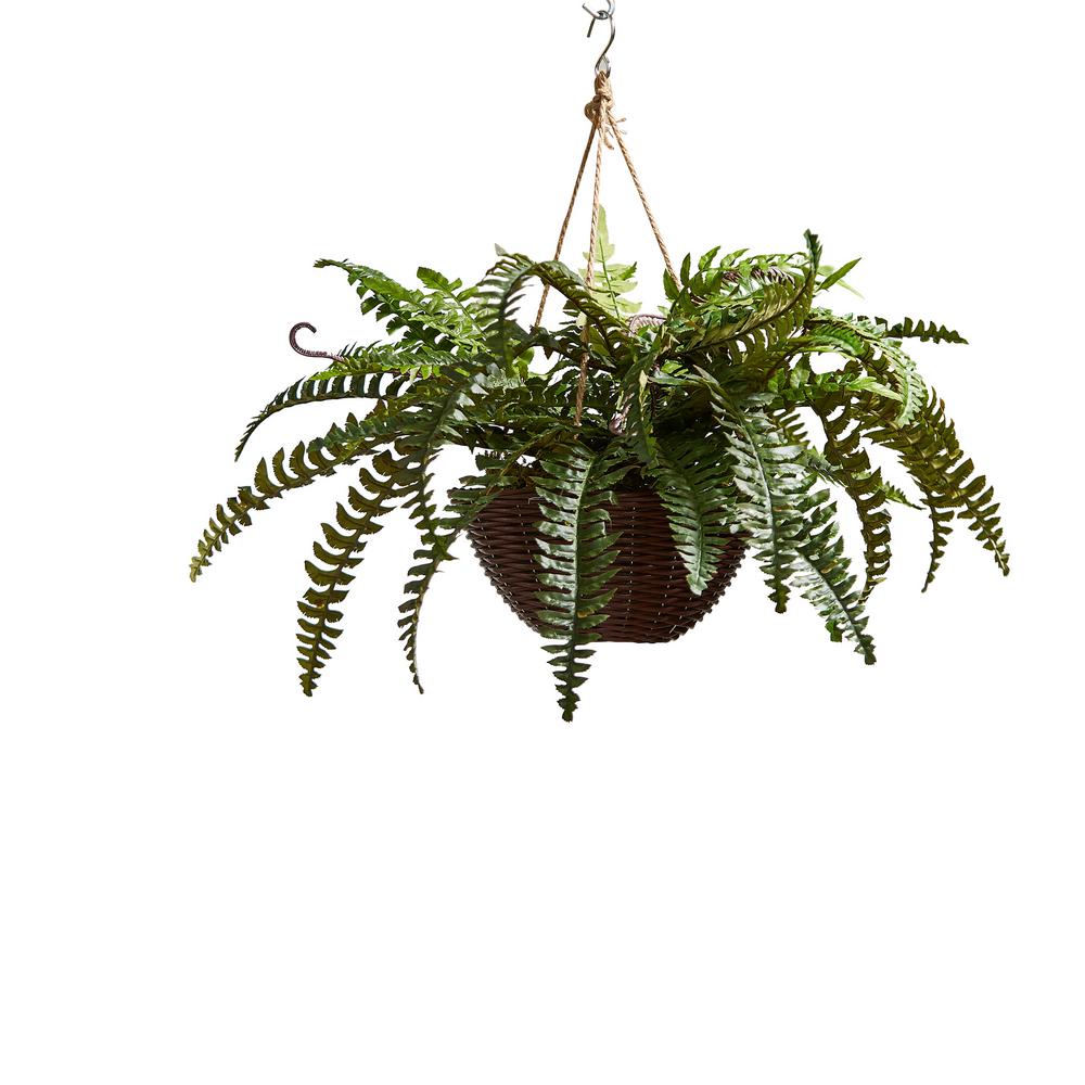 Nearly Natural Large Boston Fern Hanging Basket 6774 The Home Depot