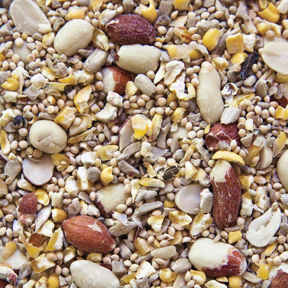 AUDOBON 7 lbs. No Waste Birdseed Mix with No Shells (1Pack)1107 The