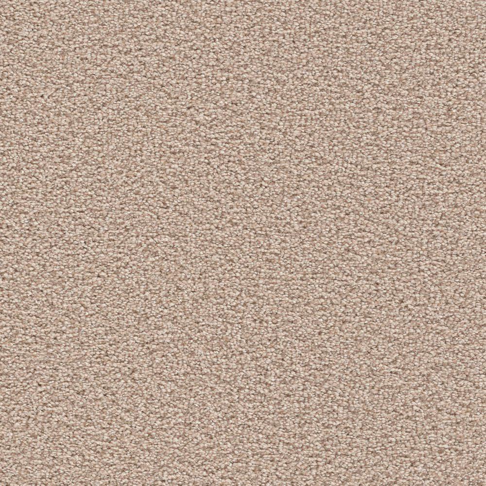 TrafficMASTER Nimble Creek Color Lodge Texture 12 ft. CarpetH4112