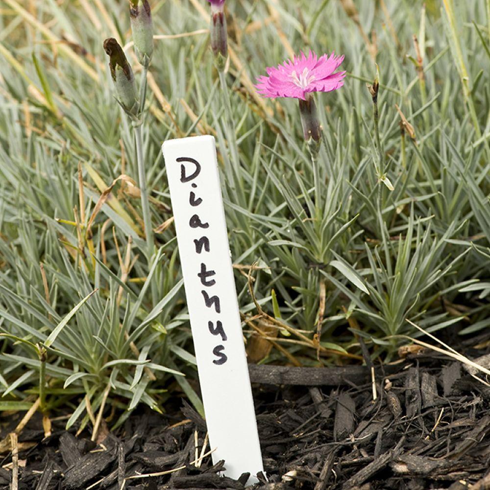 Gardener S Blue Ribbon 6 In Plastic Plant Labels 50 Count Gardener S Blue Ribbon 6 In Plastic Plant Labels 50 Count