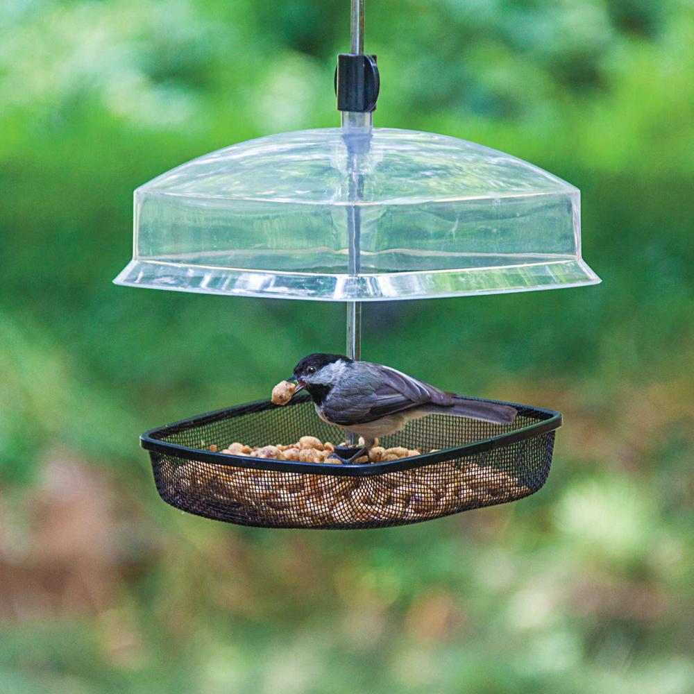 Audobon Workshop Multi Treat Backyard Bird Feeder 3640 The Home