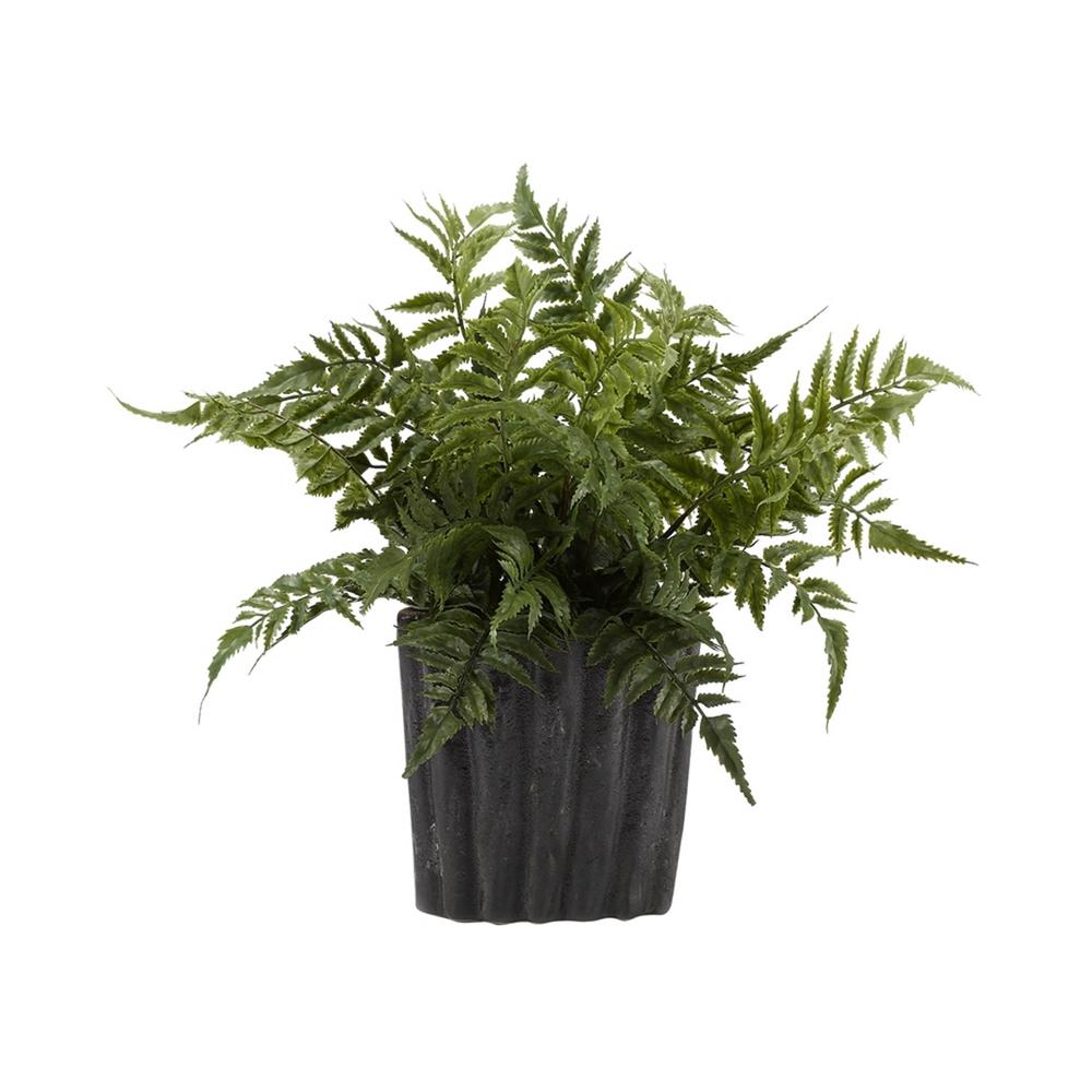 D&W Silks Indoor Small Leather Leaf Fern in Oval Ceramic187011 The