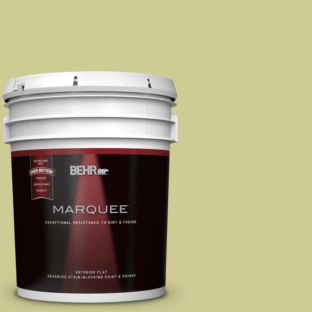 Behr Marquee 5 Gal 400d 4 Corn Husk Green Flat Exterior Paint And 400d 4 Corn Husk Green Flat Exterior Paint And Primer In One