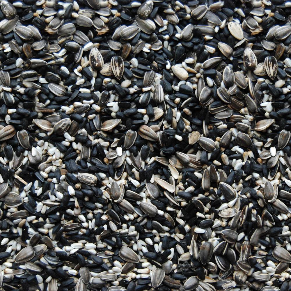 Cardinal Bird Seed & Food Bird & Wildlife Supplies The Home Depot