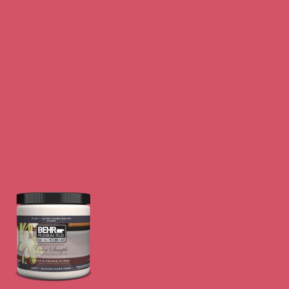 Behr Premium Plus Ultra 8 Oz 130b 6 Dragon Fruit Matte Interior Behr Premium Plus Ultra 8 Oz 130b 6 Dragon Fruit Matte Interior