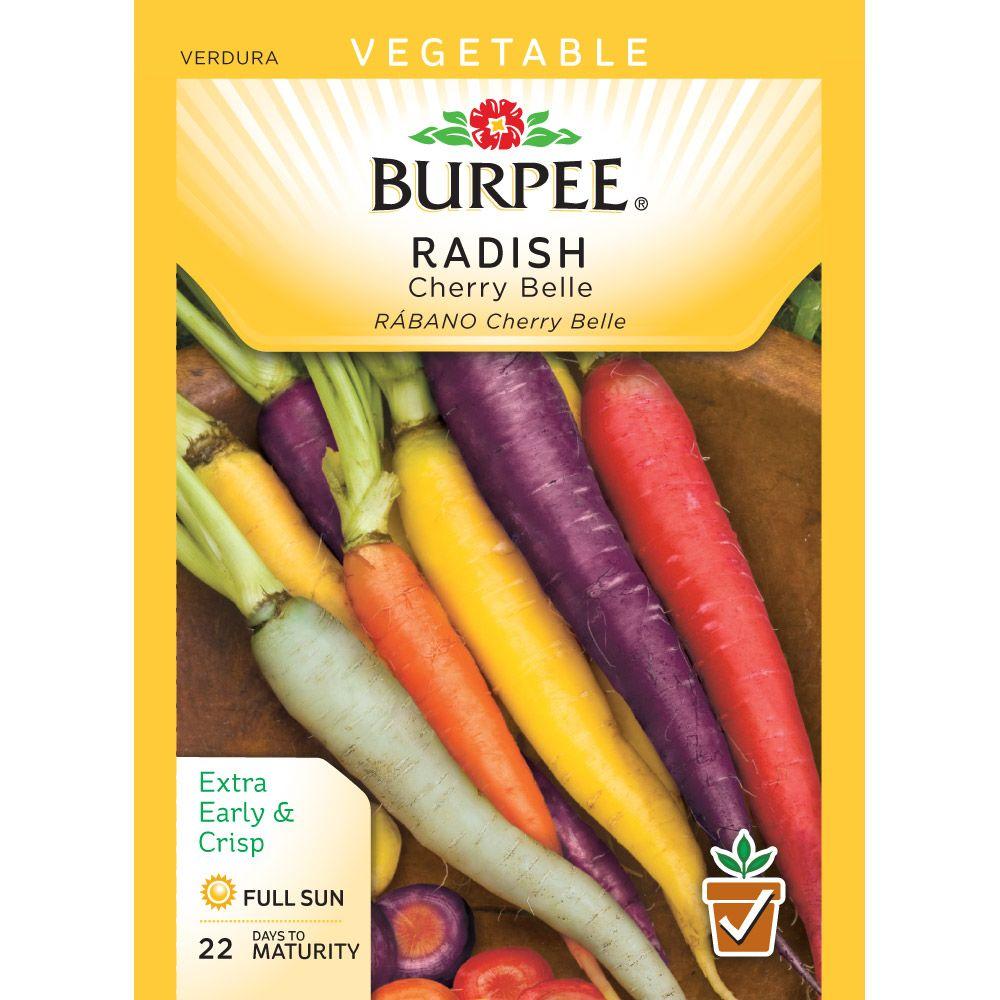 Burpee Radish Cherry Belle Seed-65851 - The Home Depot