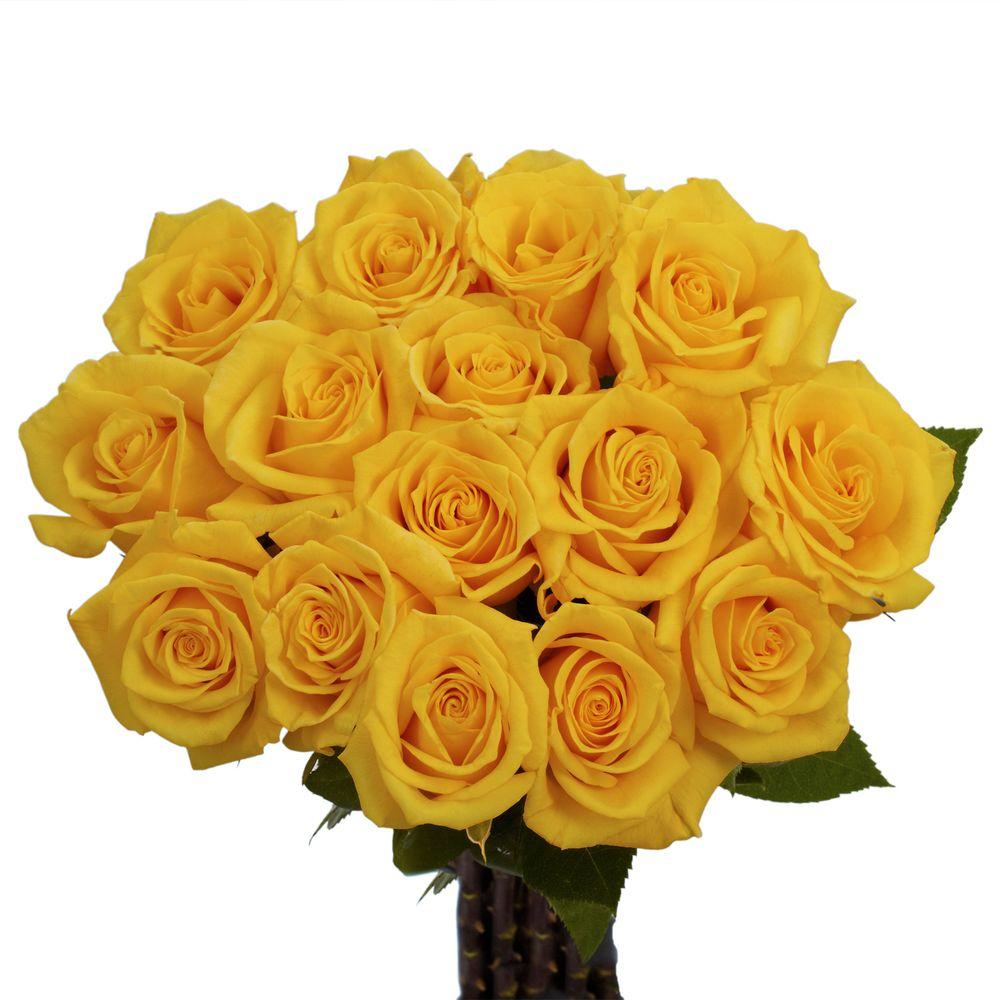 Globalrose Dozen Yellow Roses-vars-1-dozen-yellow-roses - The Home Depot