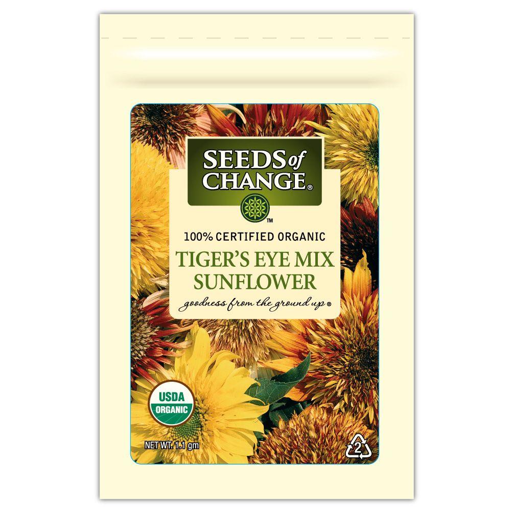 tigers eye sunflower