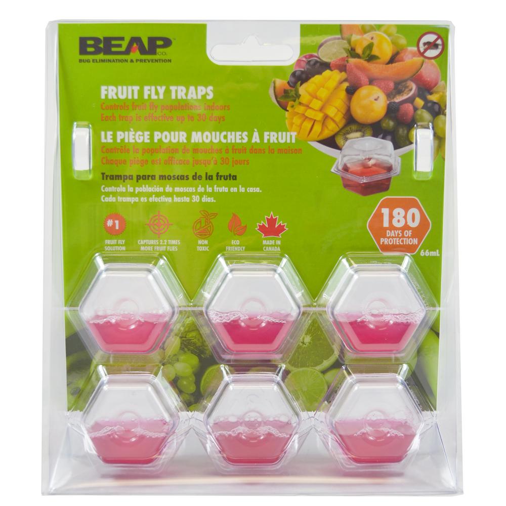 outdoor fruit fly trap