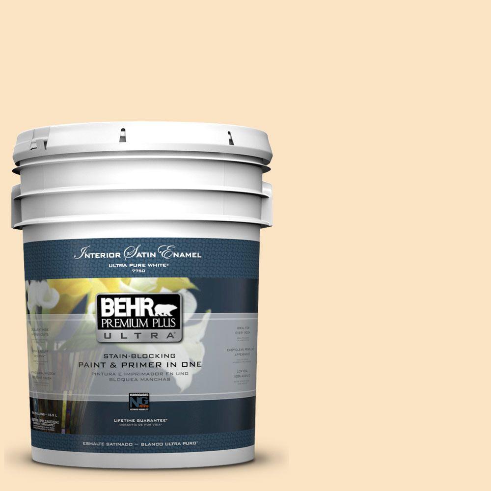 BEHR Premium Plus Ultra Home Decorators Collection 5-gal. #HDC-CT ...