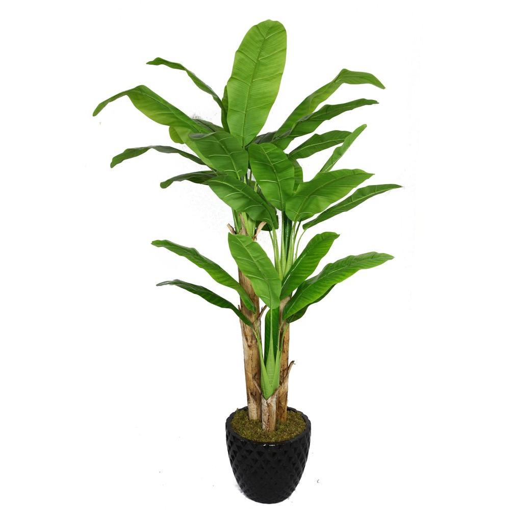 Laura Ashley 78 in. Tall Banana Tree with Real Touch Leaves in 16 in ...