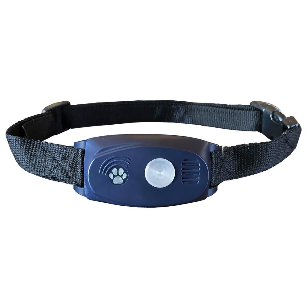 bark collar and remote trainer