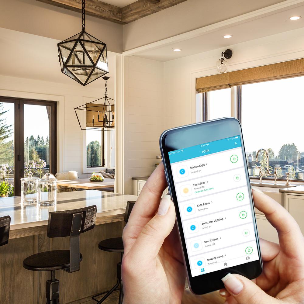 home depot amazon echo