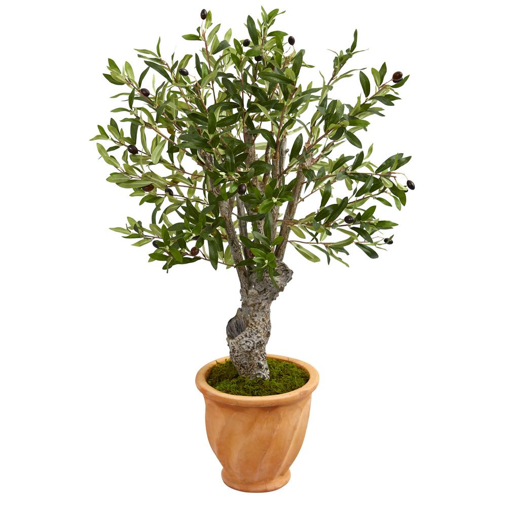 Cactus Plant Bonsai Tree Pot and Planter Birch Tree Set of 3 pieces