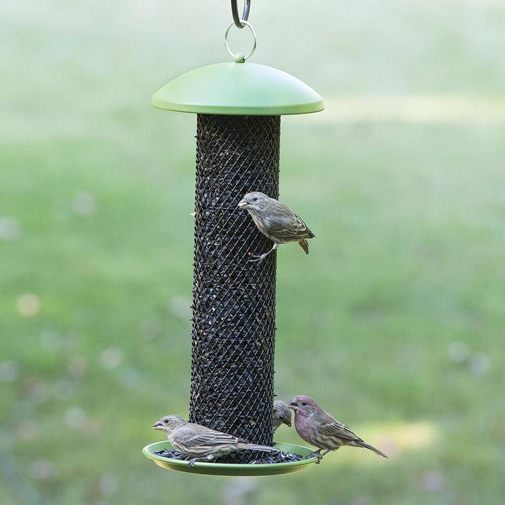 No No Green Straight Sided Sunflower Tube Hanging Bird Feeder
