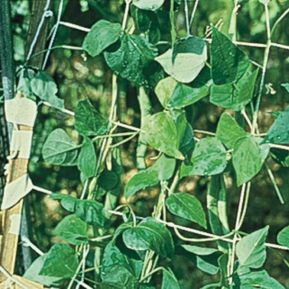 Trellis Nylon Plant Support Garden Center The Home Depot - Vegetable Garden Trellis Home Depot Trellis Nylon Plant Support Garden Center The Home Depot - Vegetable Garden Trellis Home Depot