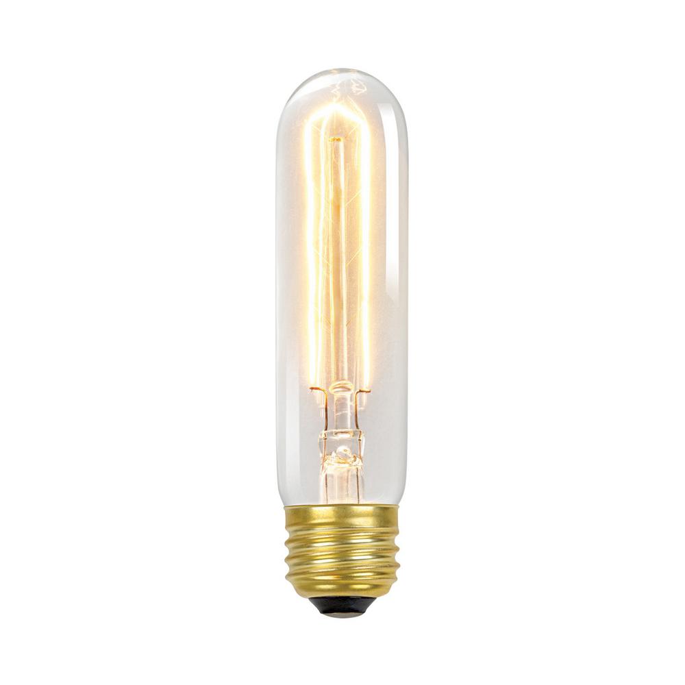 Globe Electric 60-Watt Incandescent T10 Antique Style ...